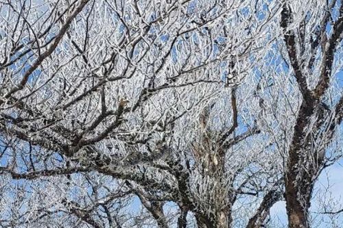 Xuất hiện băng giá ở nhiều nơi tại Cao Bằng, Yên Bái, Lào Cai