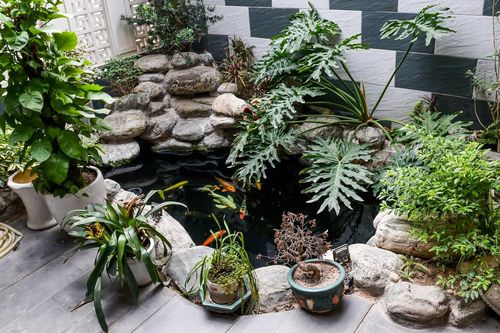 Ngôi nhà cầu thủ Nguyễn Xuân Son đang ở; Hà Nội xóa sổ nhiều nhà gỗ