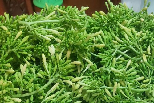 Hoa đu đủ đực có nhiều tác dụng nhưng ai không nên dùng?
