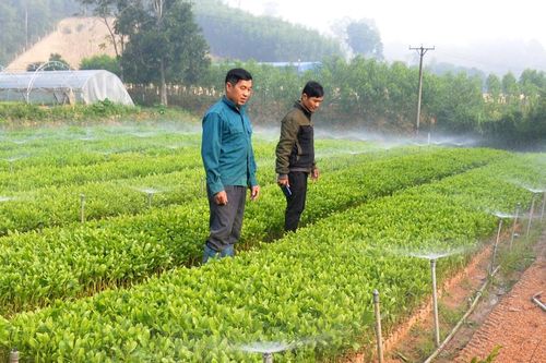 Lắp đặt hệ thống tưới thông minh: Tư duy mới của nông dân Nghệ An