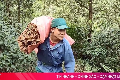 Nông dân Hương Khê sáng tạo nhiều việc làm, giúp hội viên nghèo vui Tết
