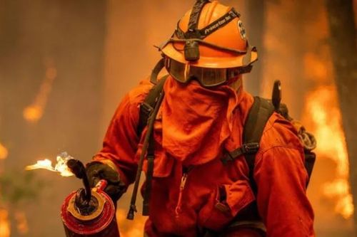 Ý kiến trái chiều về tù nhân cứu hỏa trong cháy rừng tại Mỹ