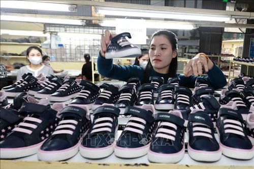 Doanh nghiệp da giày Việt tận dụng cơ hội tăng giá trị thương hiệu