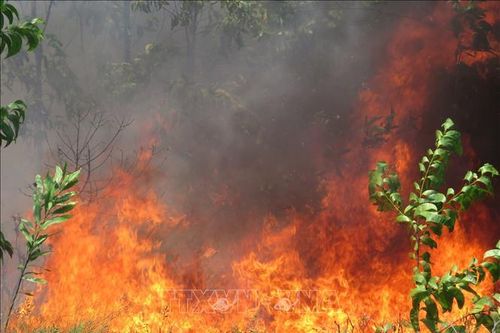 Hàng trăm người xuyên đêm dập tắt vụ cháy trên đồi tại Lạng Sơn