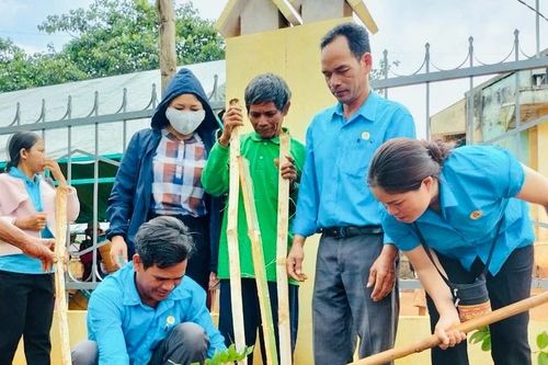 Mang Yang thực hiện tốt mục tiêu trồng cây phân tán