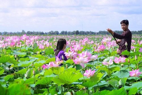Du lịch Đất Sen hồng tiếp tục khởi sắc