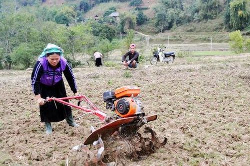 Hà Giang: Giá trị sản xuất nông, lâm nghiệp và thủy sản năm 2024 ước đạt gần 17 nghìn tỷ đồng