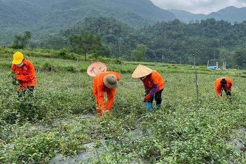 Ngành Nông nghiệp Bắc Kạn phấn đấu đạt tốc độ tăng trưởng 4,3% trong năm 2025