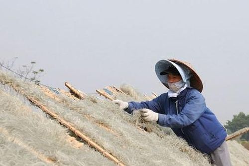 Làng nghề truyền thống 'chạy nước rút' vào vụ Tết