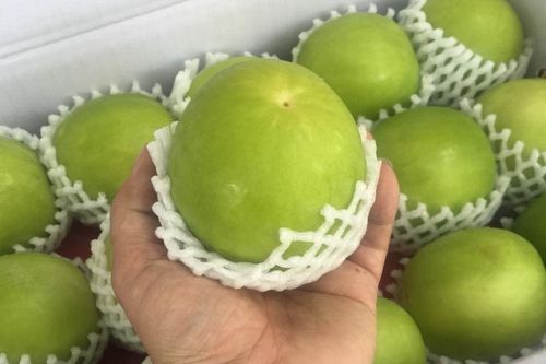 Loại trái cây đắt đỏ nhất thị trường, VN cũng trồng được loại tương tự nhưng giá chỉ vài chục nghìn/kg