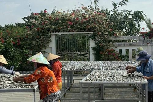 Nghề làm khô ở miền Tây tất bật vào vụ Tết
