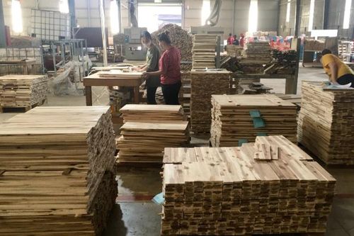 Bài 2: Huy động mọi nguồn lực để quản lý rừng