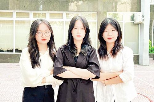 Sinh viên Thủ đô ứng dụng AI phát hiện bệnh cây trồng