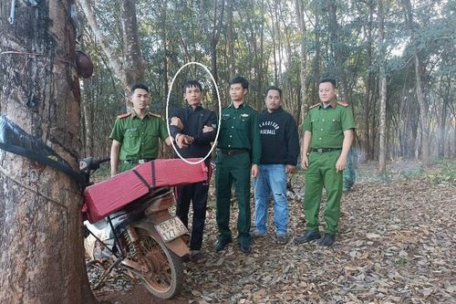 'Vi hành' không lọt