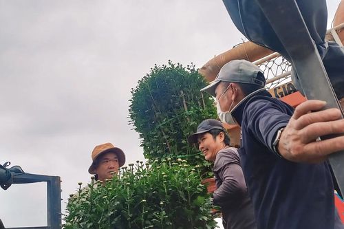 Sôi động bến cảng chở hàng tết ra đảo Lý Sơn
