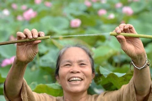 Nghệ nhân Phan Thị Thuận: Độc đáo kỹ thuật dệt lụa tơ sen