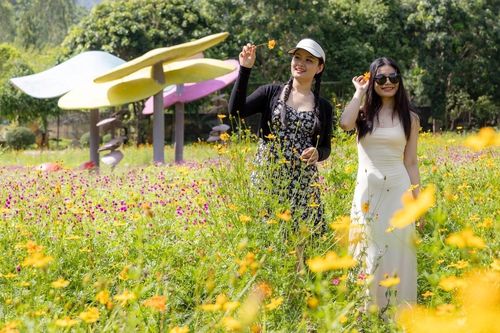 Yang Bay - Sắc xuân rực rỡ nơi đại ngàn