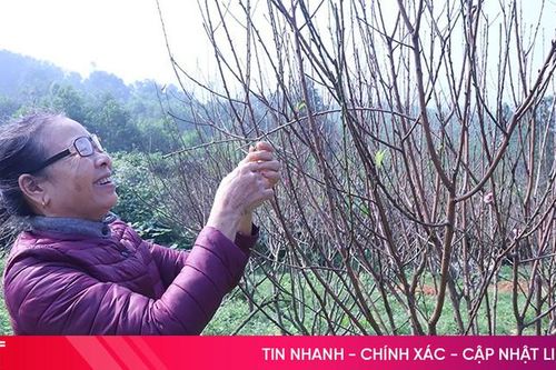 Xuân về cùng mùa hoa