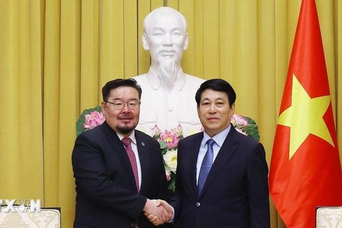 Chủ tịch nước Lương Cường tiếp Chánh Văn phòng Tổng thống Mông Cổ