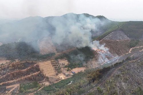 Bắc Giang: Khẩn trương xác minh, điều tra nguyên nhân và đối tượng gây cháy rừng