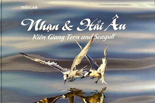 Vũ khúc trên biển Nam