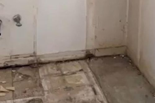 Sửa nhà, một gia đình phát hiện điều đáng sợ khi sàn phòng tắm bị đào lên