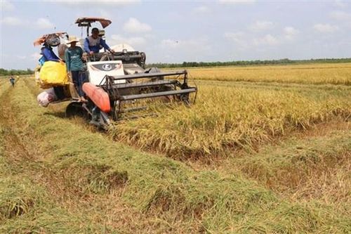 Đồng Tháp thúc đẩy chuyển đổi số trong nông nghiệp