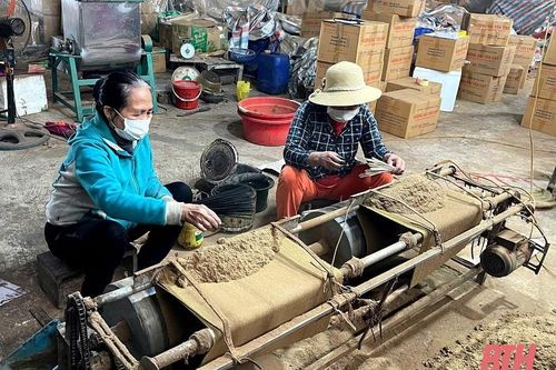 Hương bài Yên Cát tất bật vào tết