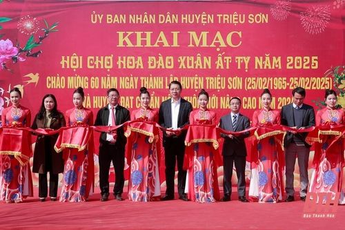 Trưng bày, giới thiệu hơn 1.000 tác phẩm hoa đào
