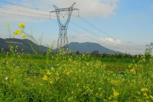 EVN: Nỗ lực hoàn thành vượt tiến độ công trình là hành động thiết thực nhất chống lãng phí trong đầu tư xây dựng