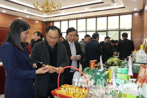 Ngành nông nghiệp và phát triển nông thôn triển khai nhiệm vụ năm 2025