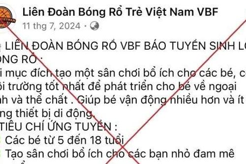 Người phụ nữ ở Hà Nội bị lừa hơn 1 tỷ đồng khi đăng ký khóa học bóng rổ cho con trên mạng