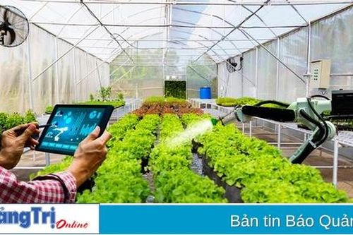 Ngành Tài nguyên và Môi trường tích cực triển khai chuyển đổi số