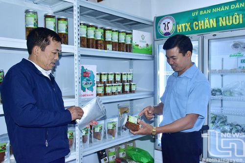 Bước chuyển trong sản xuất nông nghiệp ở Nga My