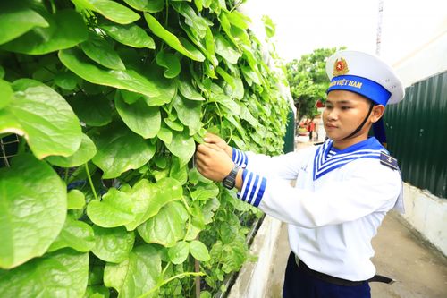 Xuân sớm trên quần đảo Trường Sa - bài 2: 'Những viên ngọc xanh' trên biển