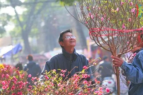 Người Hà Nội thỏa sức chọn hoa đón Tết
