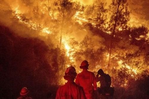 Gió giật mạnh, thảm họa cháy rừng California ngày càng nghiêm trọng