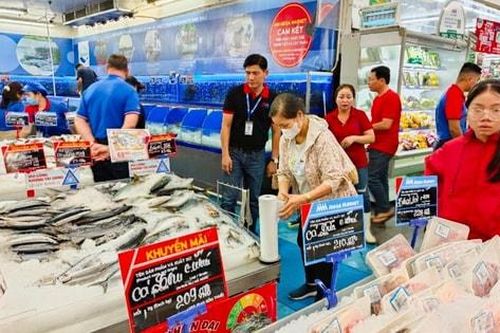 TP Hồ Chí Minh bảo đảm hàng hóa, bình ổn giá phục vụ Tết Ất Tỵ 2025