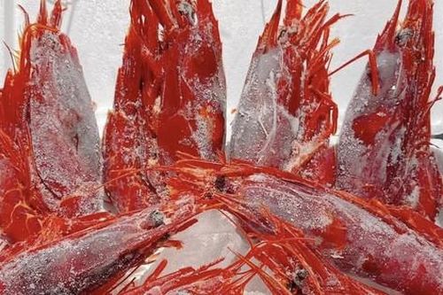 Tôm quỷ đỏ đắt nhất thế giới đổ bộ chợ Tết Ất Tỵ, giá 4,7 triệu đồng/kg
