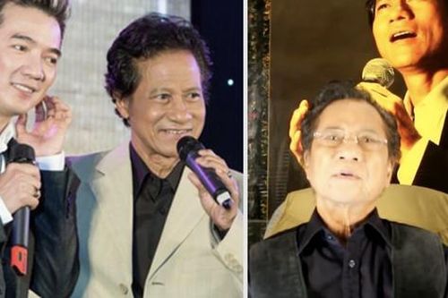 Chế Linh: 'Tôi nhận nhiều lời hằn học khi lên tiếng vụ kiện của Đàm Vĩnh Hưng'