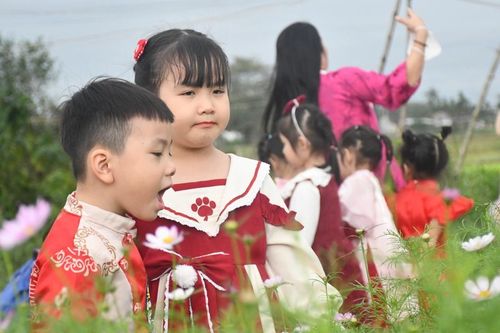 Du khách nô nức check-in cánh đồng hoa Nghĩa Hà