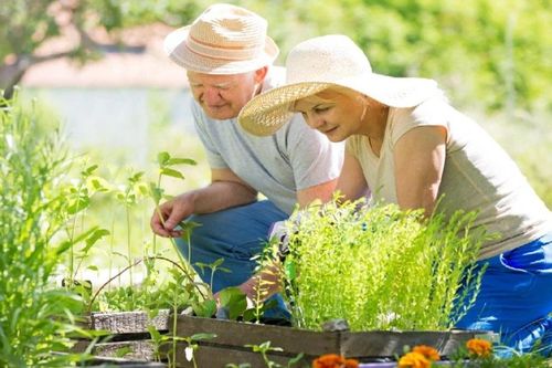 Khoảng cách giữa thời gian sống khỏe và tuổi thọ ngày càng nới rộng