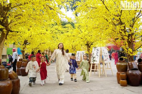 Đường mai đón Tết sớm ở Thành phố Hồ Chí Minh