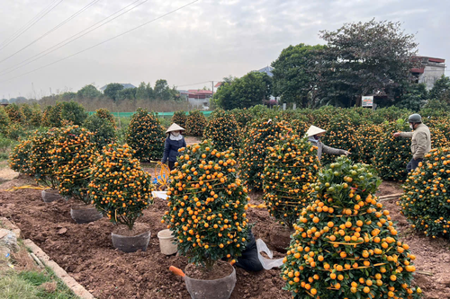 Làng nghề tất bật chuẩn bị hàng phục vụ Tết