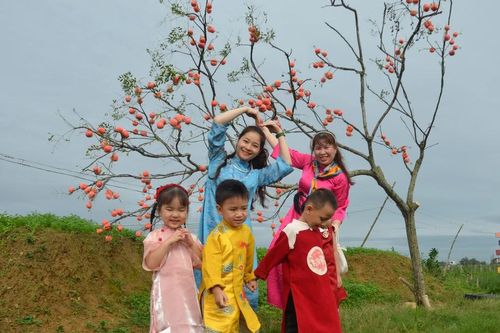 Người Quảng Ngãi du xuân sớm trên cánh đồng hoa