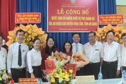 Bà Đinh Thị Thu Hằng làm Phó Chánh tòa Hành chính TAND tỉnh An Giang
