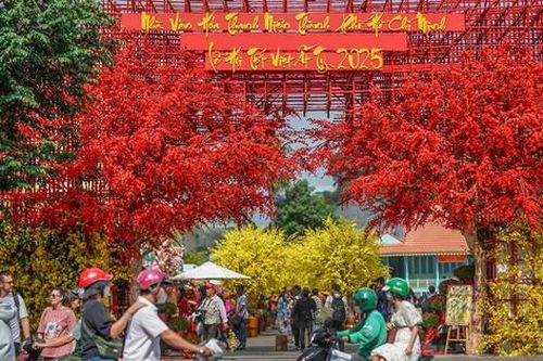 Đường phố TPHCM rực rỡ ngập tràn sắc xuân