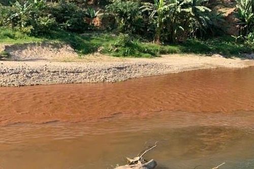 Sông Luồng ở Thanh Hóa đổi màu đỏ bất thường