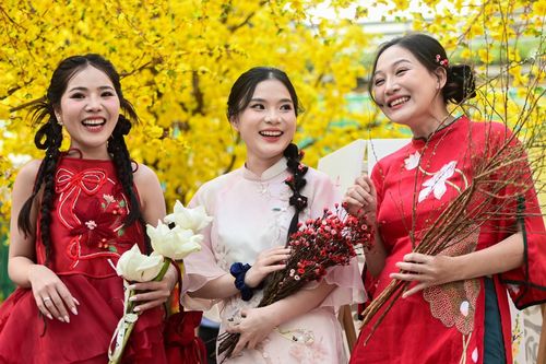 Nô nức check-in nhà sàn, vườn mai vàng rực ở trung tâm TPHCM