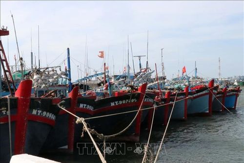 Ngư dân khó vươn khơi bởi thời tiết bất lợi